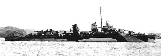 1944 USS BUSH Camo